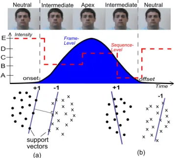 Figure 1. Given labels at the frame-level, facial expression recog- recog-nition may be accomplished relatively accurately, but this  accu-racy rapidly declines once coarse labels which produce ambiguous codes are introduced at the sequence-level