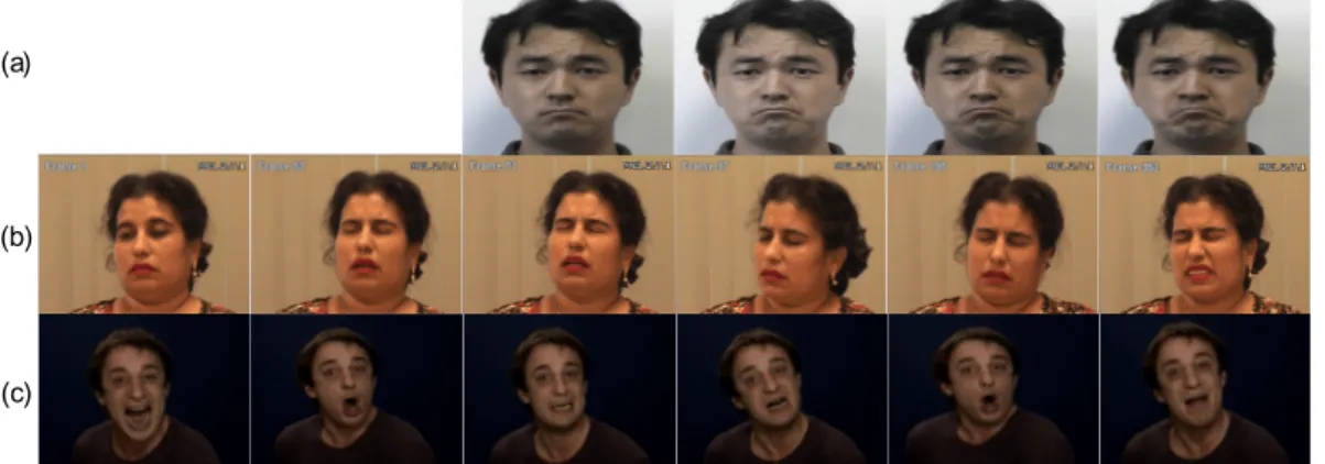 Figure 3. Experiments were conducted on a wide variety of facial expression databases: (a) CK+ dataset (posed expressions), (b) UNBC- UNBC-McMaster Shoulder Pain Archive (spontaneous expressions), and (c) GEMEP-FERA dataset (acted expressions).