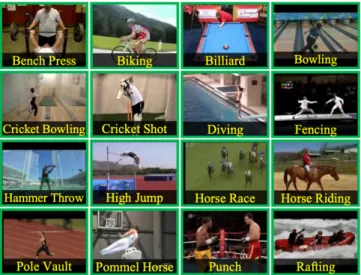 Fig. 3.  Video Pre-Processing of UCF101 dataset 