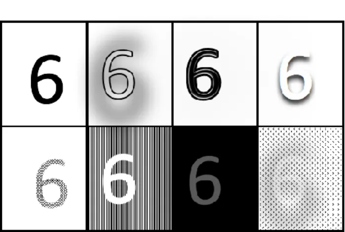 Fig. 3. Examples of distortion techniques resulting in an augmented dataset. 