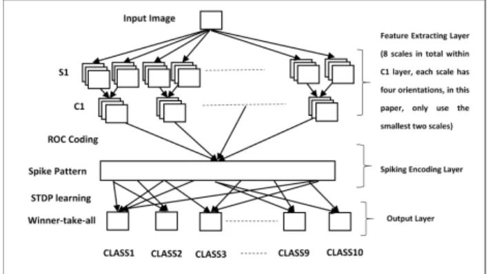 Fig. 1: The framework of the proposed timing-based feed- feed-forward spiking neural network.