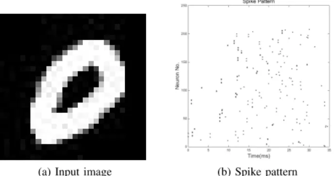 Fig. 4: Input image and its spike pattern generated from the first two layers.