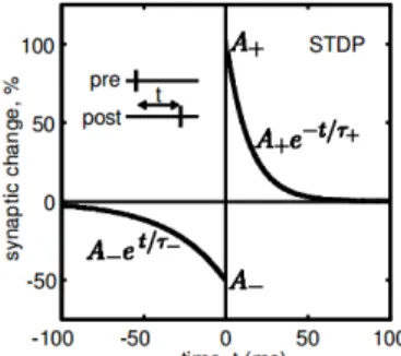 Fig. 5: STDP learning window.