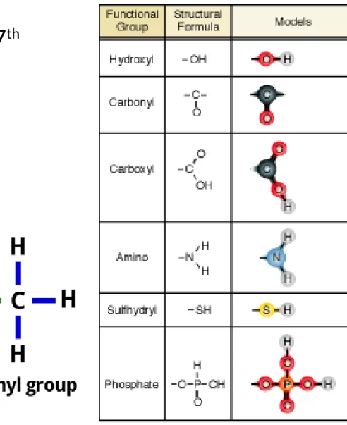 Figure 4.10 of Campbell 7 th