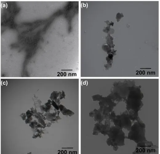 Figure 5.Examples of various filler particle shapes: (with permission from reference [Figure 5