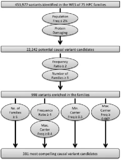 Figure 1: Schematic of the analysis strategy implemented to identify the most compelling variants for follow-up  analyses.