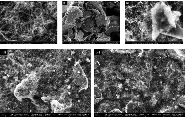 Figure 5.Figure 5. SEM images of the thin films, (a) MWCNTs in THF, (b) graphene in THF, (c) MWCNT-graphene in H-70:30; ( SEM images of the thin ﬁlms, (d) and (e) homogeneity comparison of the water and THF-based hybrids