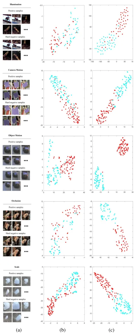 Figure 4: (a) Five groups of samples dominated by differentattributes. (b) Projected features of the baseline branch