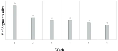Fig. 4. Segment survival at the beginning of the week.