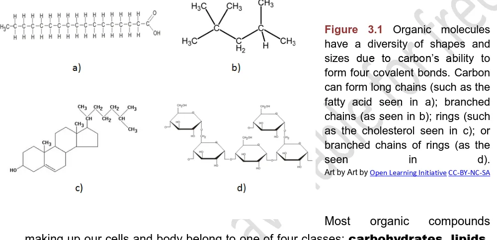 Figure 3.1 Organic molecules have a diversity of shapes and 