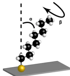 Figure 1-4. Molecule orientation on a SAM. 