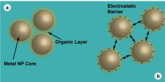 Figure 1-8. Steric (a) and electrostatic (b) stabilisation against aggregation. 