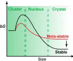 Figure 1-13. Growth process. 
