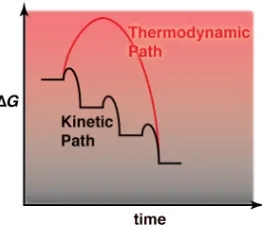 Figure 1-16. Thermodynamic vs kinetic path during crystallisation. 
