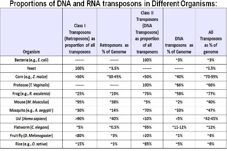 table below shows the distribution and proportion of genomes represented by different classes/types of transposable elements