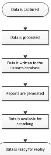 Figure 1. IBM Tealeaf process flow