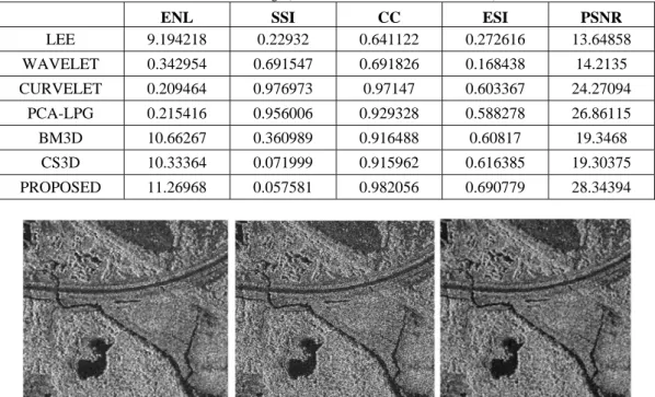 Table 1: Quantitative comparison of despeckling techniques for  TerraSAR-X - VV image (Noise variance= 0.1 and size= 512*512) 