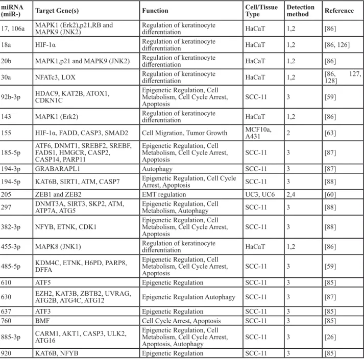 Table 2: miRNAs upregulated by p63
