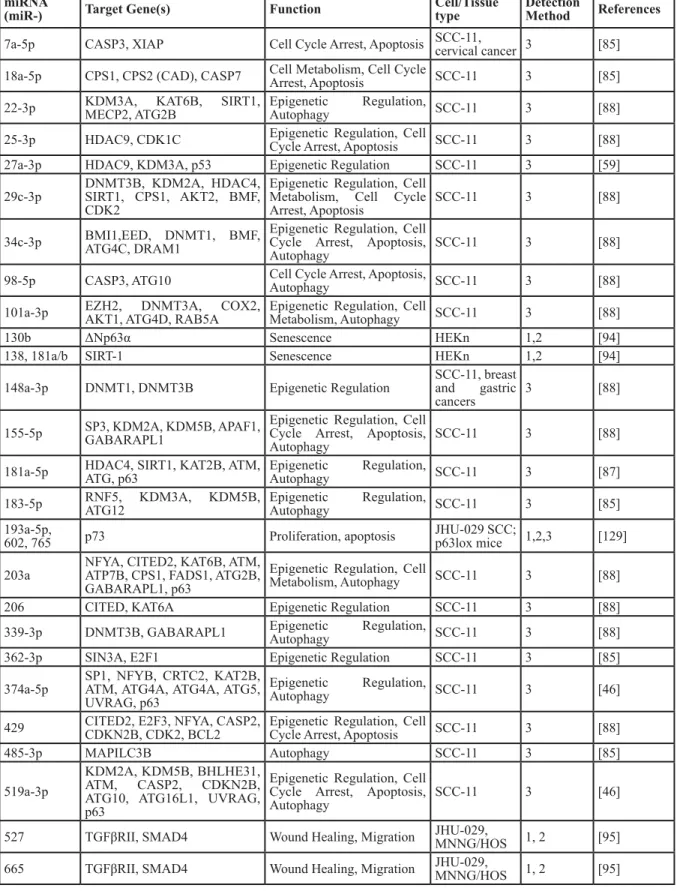 Table 3: miRNAs downregulated by p63