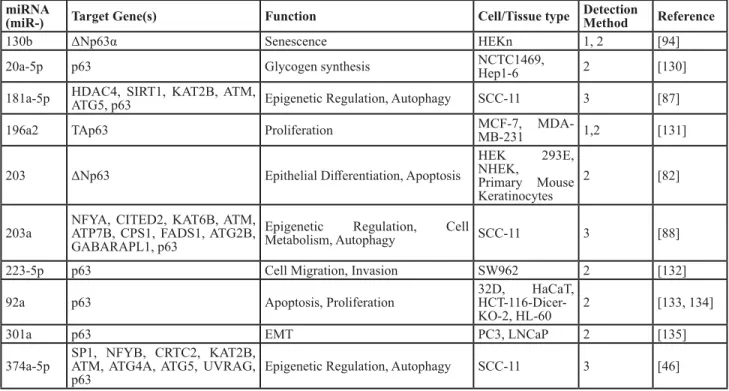 Table 4: miRNAs that downregulate p63