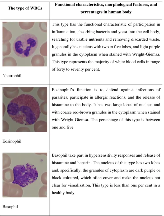 Table 2.1. The five different types of white blood cells and their characteristics 