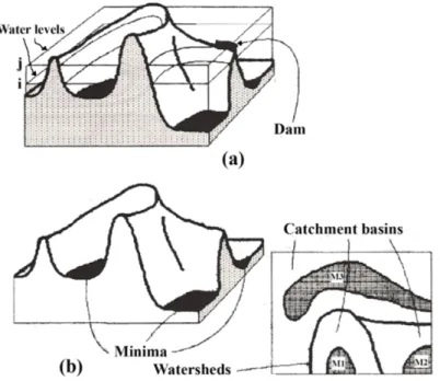 Figure 3.3 The watershed transform (a) Flooding of the surface, water levels: i and j and  dam building; (b) Top view shows catchment basins, watershed lines and minimum areas: 