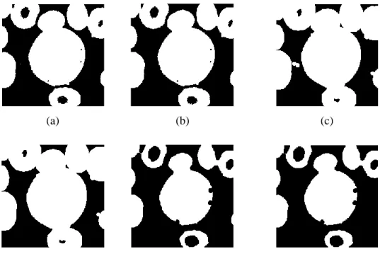 Figure 3.7 The examples of the variation in the images due to morphological operations: (a)  binary image; (b) area opening image with size 10 pixels; (c) dilation by SE ‘Disk’ shape 