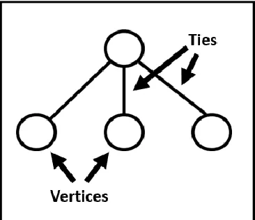 Figure 1. Vertices and ties within a social network 
