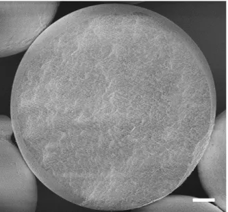 Figure S2. Scanning electron microscope (SEM) image of supraparticle interior. Scale bar: 5 µm