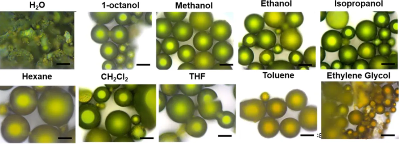 Figure S3. The stability of noncrosslinked green supraparticles in different commonly used  solvents