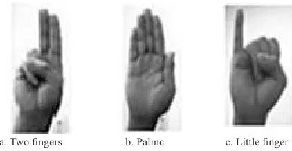 Fig. 1. Gestures with Cyber Glove.