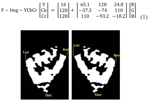 Fig. 14. (a) Detected (Left and Right hand) areas in forward navigation.
