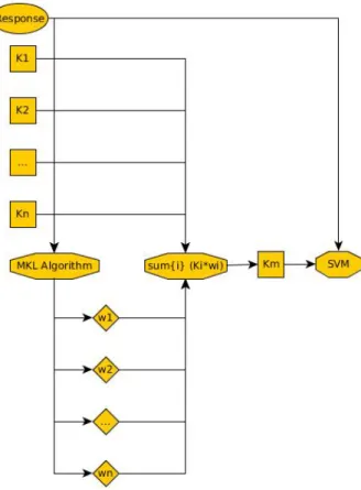 Figure 2: Multiple Kernel Learning general procedure. Ki are kernel matrices, wi are the weights computed by the algorithm, and Km is the combined kernel matrix.