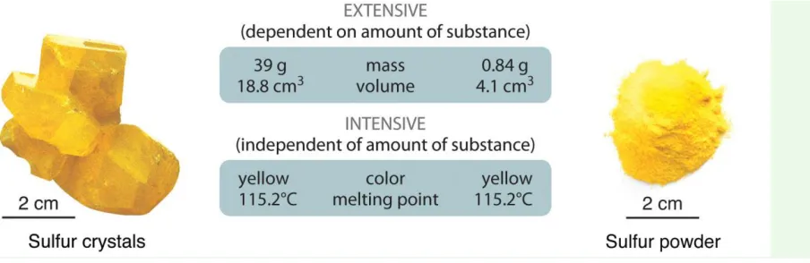 Figure 1.12 The Difference between Extensive and Intensive Properties of Matter 