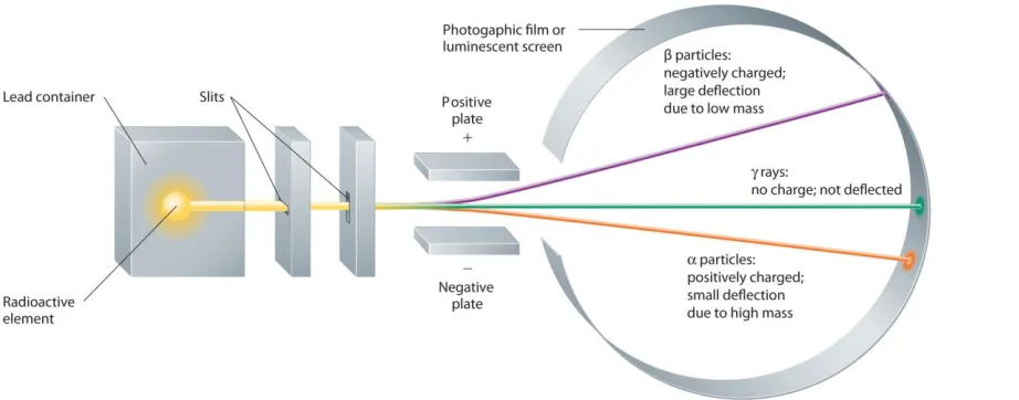 Figure 1.18 Effect of an Electric Field on α Particles, β Particles, and γ Rays 