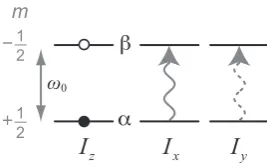 Figure 2.1. Product operator representation of an isolated spin I = 1/2 nu-cleus in a magnetic ﬁeld using the energy levels of the |α⟩ andβ | ⟩ states.The diﬀerence in energy, in units of ¯h, is given by the Larmor frequency,ω0 = −γB0