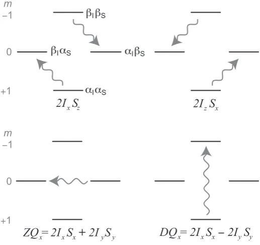 Figure 2.3.Product operator representation ofconventions described in Fig.quantum x-anti-phase and multiple- operators for a coupled pair of I = 1/2 nuclei, I and S, using the 2.1.