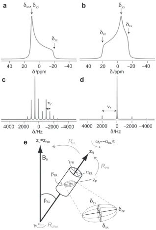 Figure 2.4. Chemical Shift Anisotropy powder lineshapes for an isolatedsidebands under MAS are separated bynormalised