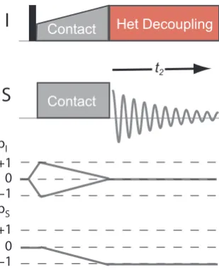 Figure 3.6. Cross polarization (CP) pulse sequence used to enhance the sen-transverse magnetization is generated by application of a 90transferred toplied to both spin channels, according to the Hartmann-Hahn condition givenin Eq.the matching conditions fo
