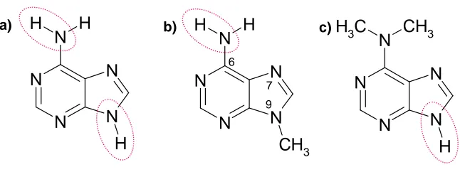Figure 1.6, a) N9-H adenine; b) 9-methyladenine; c) 6-dimethylaminopurine. Importantheteroatom co-ordinates highlighted in red