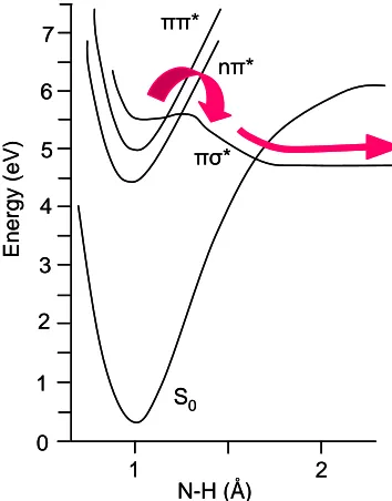 Figure 1.10, schematic depicting N-H bond fission along the dissociative πσ* surface, resulting in H and adenyl cofragment.