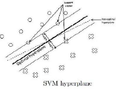 Fig. 1. Support Vector Machine Hyperplane.