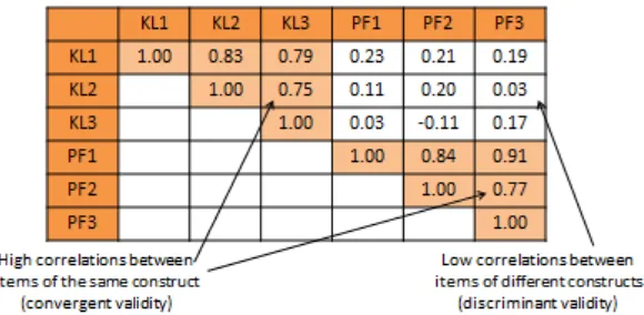 Table 7.1. Bivariate correlational analysis for convergent and discriminant validity   