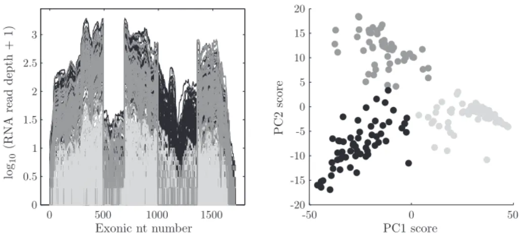 Figure 1. PCA of RNAseq log read depth maps, for the union of exons in the gene CDKN2A
