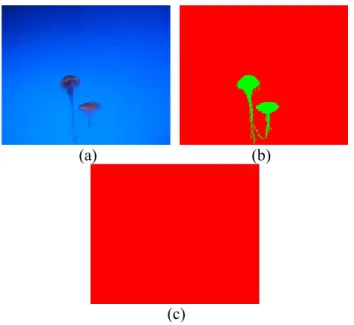 Figure 4. a) An original image, b) the ground truth data, c) a  segmentation with over 97% validity as compared to ground 