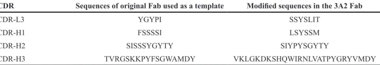 Table 1: The modified complementary determining regions (CDR) sequences in the light (L) and the heavy (H)  chains of the 3A2 Fab