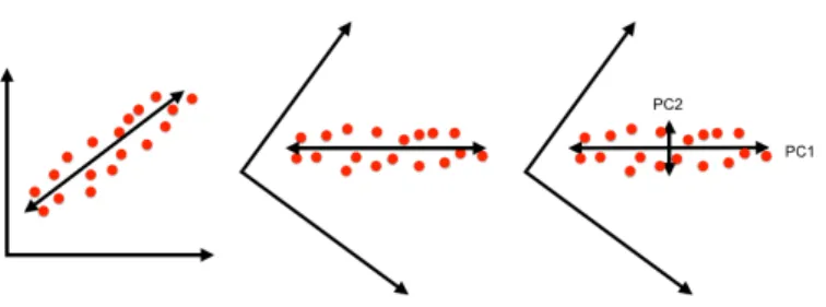 Fig. 1. Finding principal components in the 2D case.