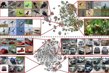 Figure 4: Visulization of the proposed method with t-SNE on CUB200-2011zoomed in. Based on our approach, images with similar objects are more likely to be grouped together despite the variations in (up) and CARS196 (down)