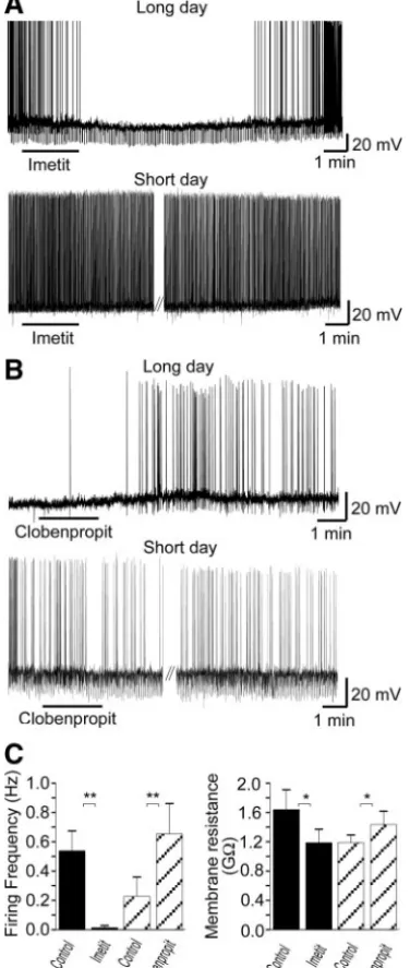 FIG. 4. H3 receptor-mediated signaling regulates neuronal activity of dmpARC