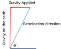 Figure 8. Von-Mises stress on the stem of the bean sprouts. 